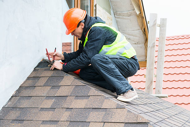 Best Roof Gutter Cleaning  in Cologne, NJ